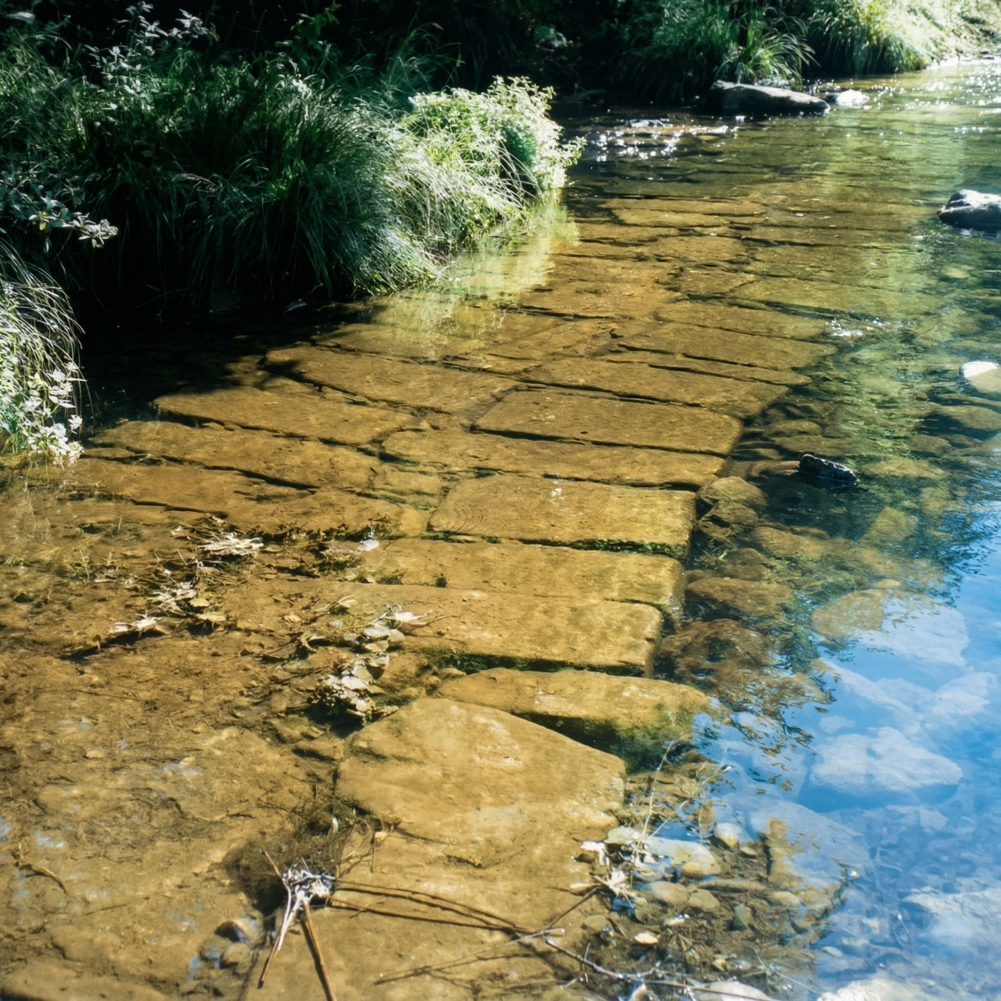 Poldras para passagem de bois